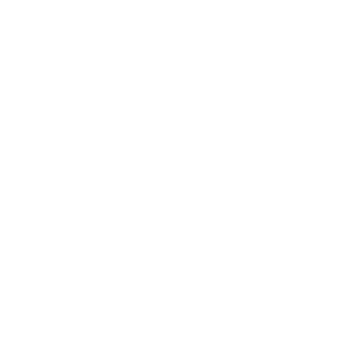 Centro diagnóstico visual